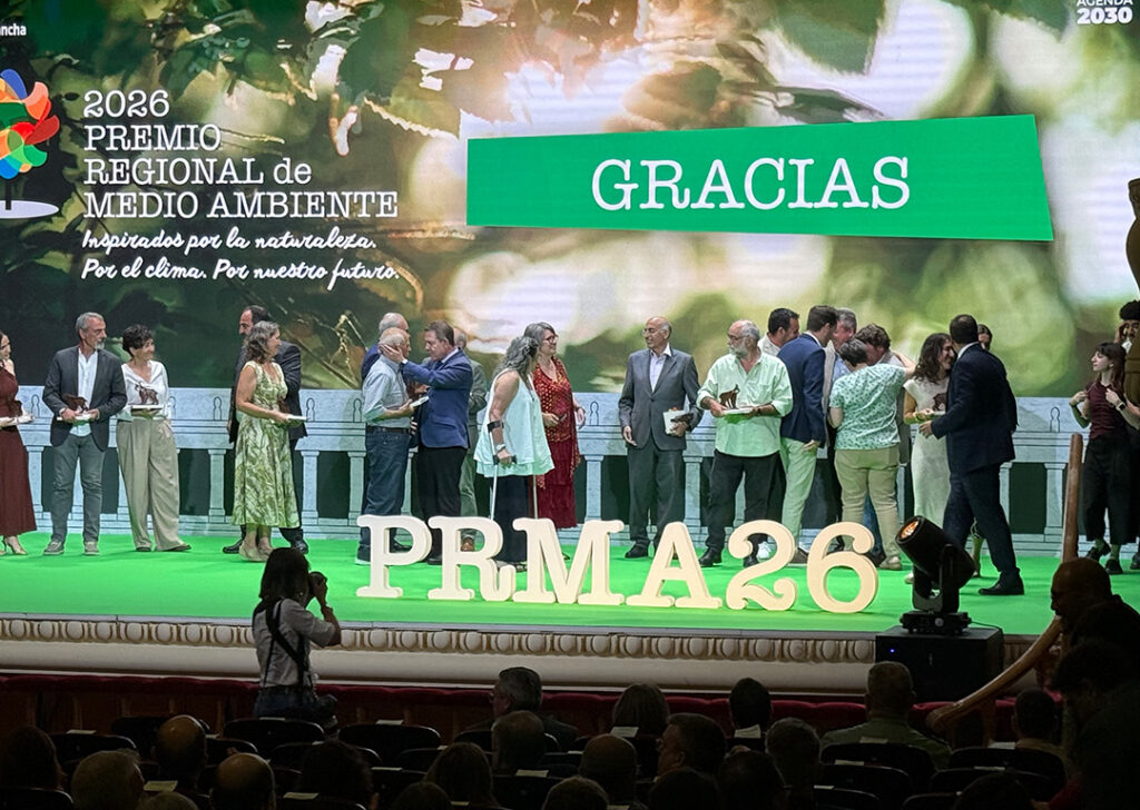 imagen1